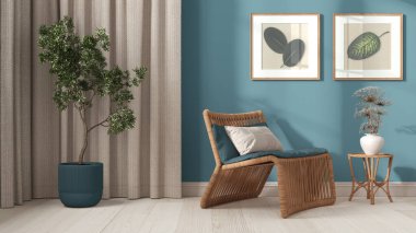 Beyaz ve mavi tonlarda modern oturma odası. Kapatın. Yastıklı, perdeli, resimli ve saksılı Rattan koltuğu. Parke zemin ve alçı duvarlar. Retro iç tasarım