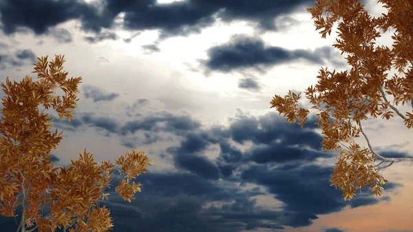 Feuilles Automne Jaune Orangé Rouge Branche Arbre Sur Ciel Levant — Photo