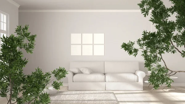 Green summer or spring leaves, tree branch over interior design scene. Natural ecology concept idea. White modern living room with frame mockup. minimalist interior design