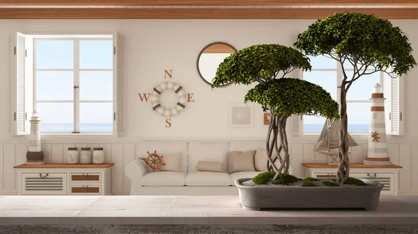 Vintage wooden table shelf with pebble and potted bloom bonsai, green flowers, over living room with sofa and panoramic windows, marine style, zen clean architecture concept idea