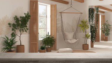 Ahşap kaplama masa veya raf kaplaması, zen modu, kırsal oturma odasında rattan saksı bitkileri ve dantel sallanan sandalye, modern mimari iç mimari tasarım
