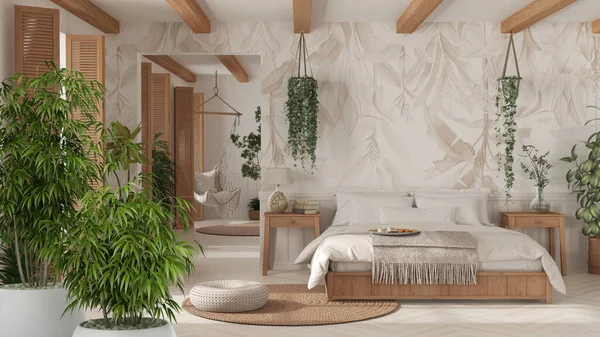 Zen Interior Potted Bamboo Plant Natural Interior Design Concept Bohemian — Stock Photo, Image