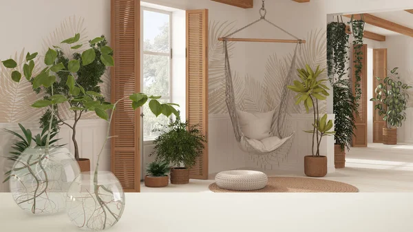 White Table Top Shelf Glass Vase Hydroponic Plant Ornament Root — Stockfoto