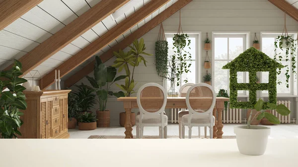 White Table Top Shelf Green Plant Pot Shaped House Bohemian — 스톡 사진