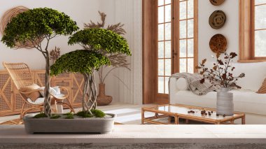 Vintage wooden table shelf with pebble and potted pine bonsai, green leaves, over boho living room with rattan furniture, country interior design, zen clean architecture concept