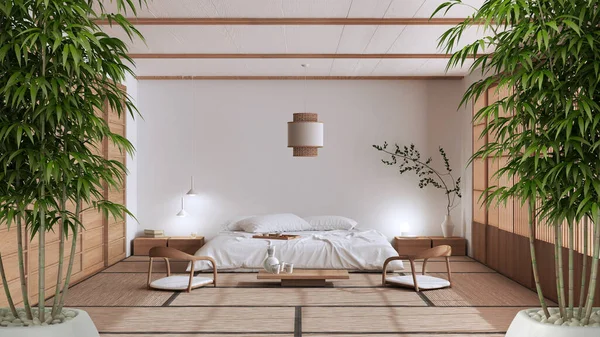 Zen Interior Potted Bamboo Plant Natural Interior Design Concept Japandi — Stock Photo, Image