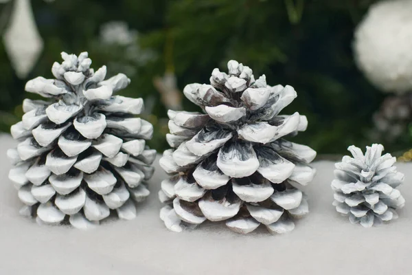 cones in the snow on the background of a fir