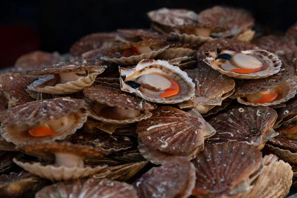 Fresh Scallops on a seafood market at Dieppe France — Stock Photo, Image