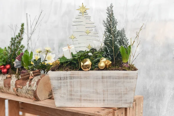 Kompozycja Świąteczna Hiacyntami Bluszczem Boże Narodzenie — Zdjęcie stockowe