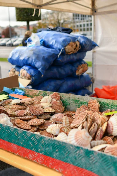 Verse Sint-jakobsschelpen op een vismarkt in Dieppe Frankrijk — Stockfoto