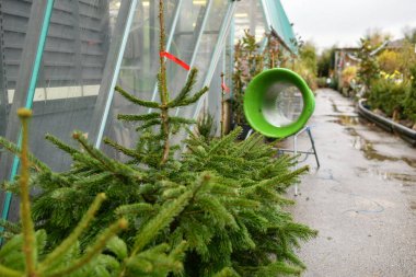 Plastik bir ağa sarılı Noel ağacı paketleme aygıtı