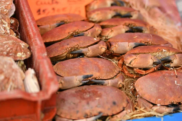 Raw Crabs Market — Stock Photo, Image