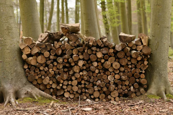 Řada dřevěných klád pro krb — Stock fotografie