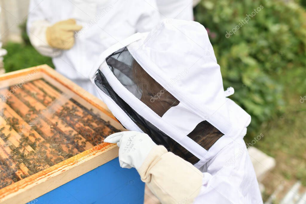 A beekeeper child in apiary in a protective suit