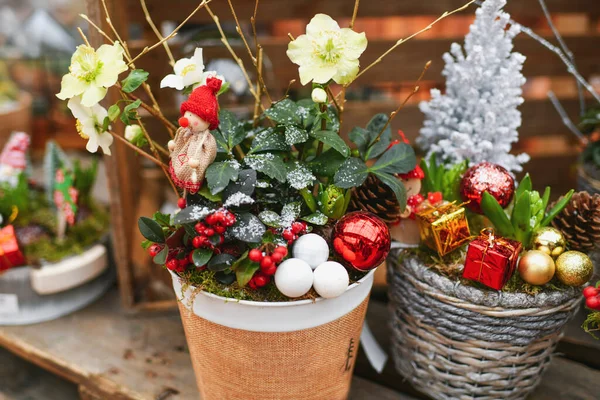 Vánoční Kompozice Rostlinami Vánocům — Stock fotografie
