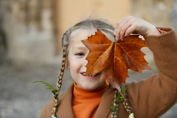 Ein Mädchen Mit Zöpfen Hält Ein Ahornblatt — Stockfoto