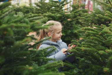 Küçük kız dükkanda bir Noel ağacı seçiyor..