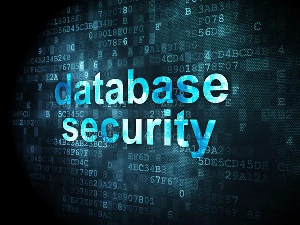 Security concept: database security on digital background — Stock Photo, Image