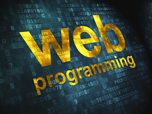 Концепція веб-розробки SEO: веб-програмування на цифровому сервері — стокове фото