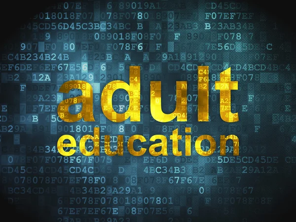 Concepto de educación: Educación de adultos en el contexto digital — Foto de Stock