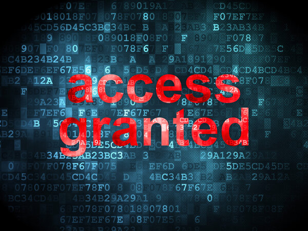 Концепция безопасности: Доступ предоставляется на цифровом фоне
