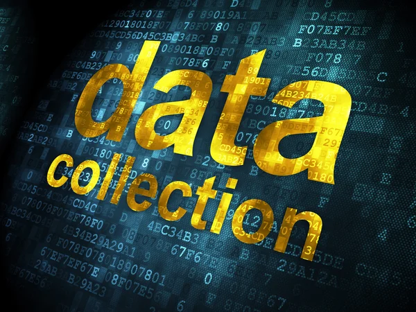 Concepto de información: recopilación de datos sobre fondo digital — Foto de Stock