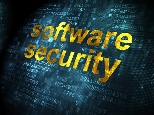 Security concept: Software Security on digital background — Stock Photo, Image