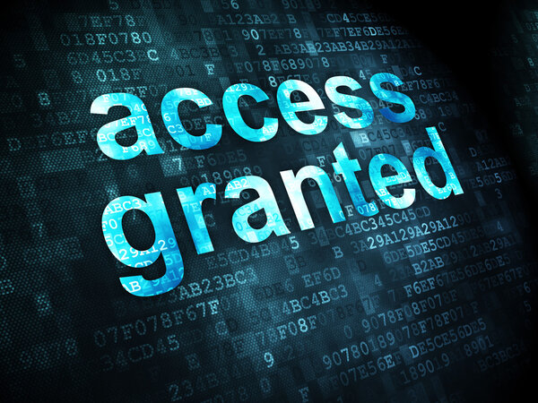 Концепция безопасности: Доступ разрешен на цифровом фоне
