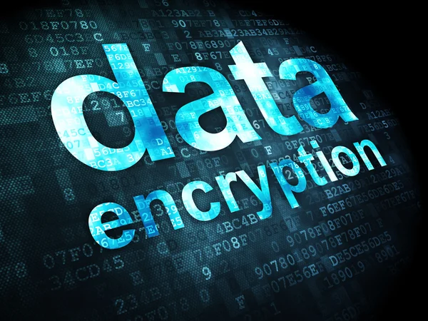 Privacy concept: Data Encryption on digital background — Stock Photo, Image