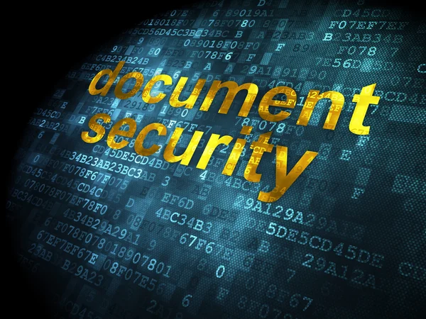 Skydd koncept: dokumentsäkerhet på digital bakgrund — Stockfoto
