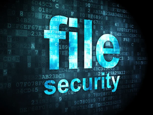 Conceito de privacidade: File Security on digital background — Fotografia de Stock