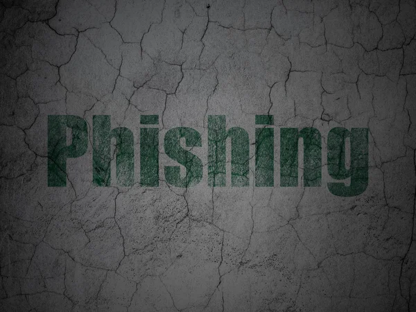 Säkerhetskoncept: Phishing på grunge vägg bakgrund — Stockfoto