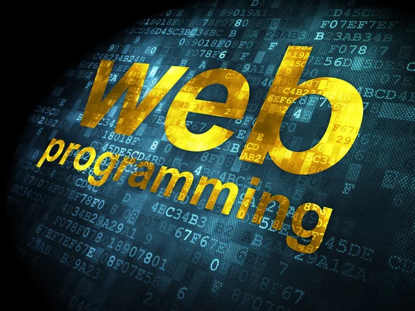 Концепція веб-розробки SEO: веб-програмування на цифровому сервері — стокове фото