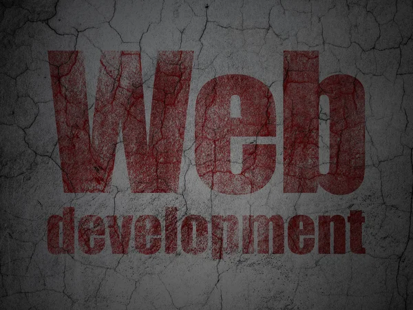 Conceito de desenvolvimento Web: Desenvolvimento Web no fundo da parede grunge — Fotografia de Stock