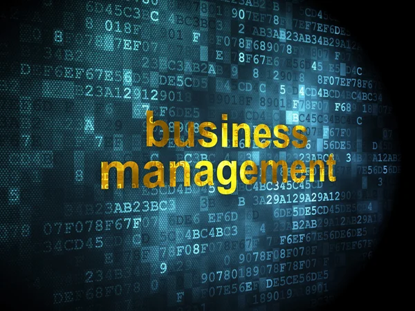 Koncepcja Biznesowa: Business Management na tle cyfrowy — Zdjęcie stockowe