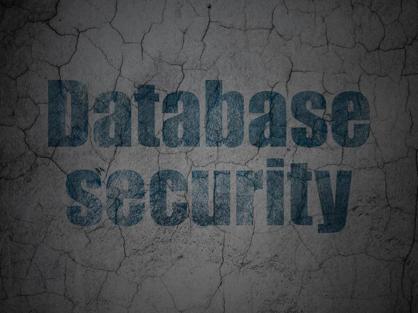 Concept de confidentialité : Sécurité des bases de données sur fond de mur grunge — Photo