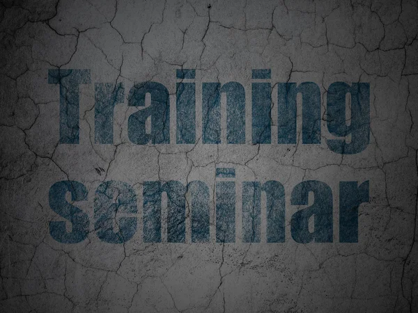 Education concept: Training Seminar on grunge wall background — Stock Photo, Image