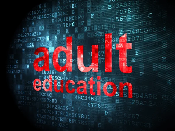 Concepto de educación: Educación de adultos en el contexto digital — Foto de Stock