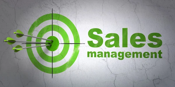 Concetto pubblicitario: target e Sales Management su sfondo wall — Foto Stock