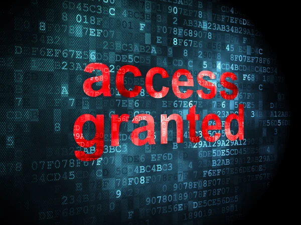 Privacy concept: Access Granted on digital background — Stock Photo, Image
