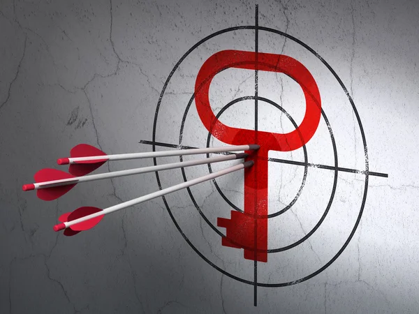 Protection concept: arrows in Key target on wall background — Stock Photo, Image