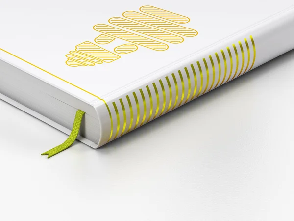 Finanzierungskonzept: geschlossenes Buch, Energiesparlampe auf weißem Hintergrund — Stockfoto