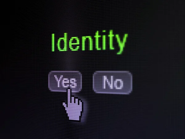 Sicherheitskonzept: Identität auf dem digitalen Computerbildschirm — Stockfoto