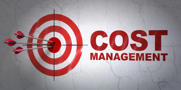 Business concept: target and Cost Management on wall background — Stock Photo, Image