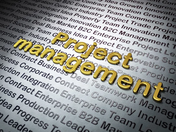 Concepto de Finanzas: Golden Project Management on Business background — Foto de Stock