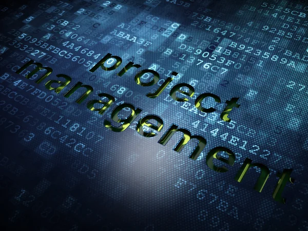 Finance concept: Project Management on digital screen background — Stock Photo, Image