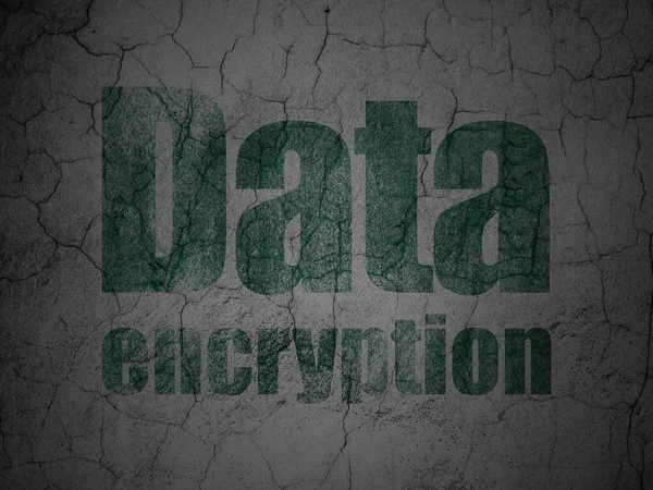 Privacy concept: Data Encryption on grunge wall background — Stock Photo, Image