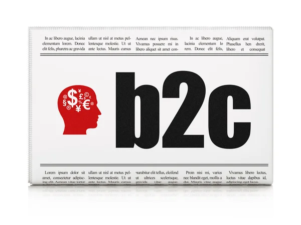 经营理念： 报纸与 b2c 和头，财务符号 — 图库照片