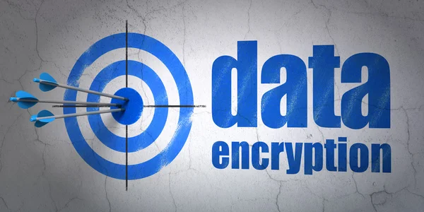 Safety concept: target and Data Encryption on wall background — Stock Photo, Image