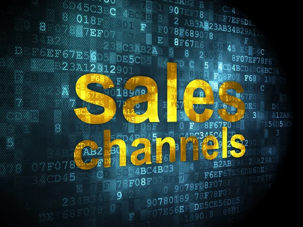 Advertising concept: Sales Channels on digital background — Stock Photo, Image